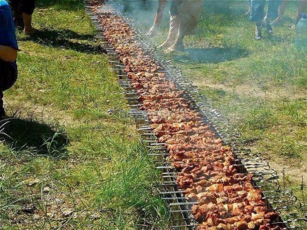 Собралась на шашлычки