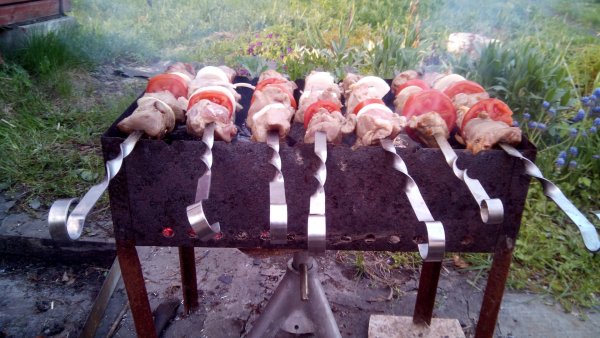 Приколы про шашлыки на природе
