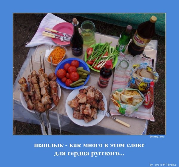 Приколы про шашлыки на природе