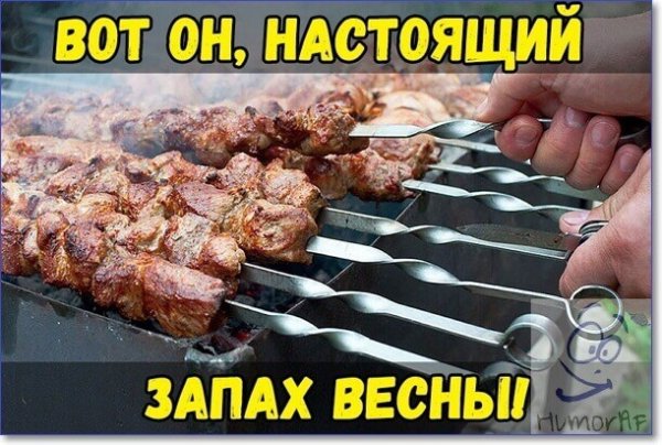 Кошачий шашлык