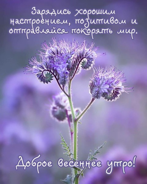 Доброго здравия с утра