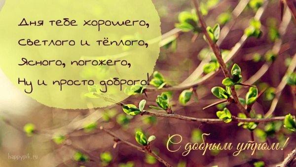 С добрым утром пожелания философские