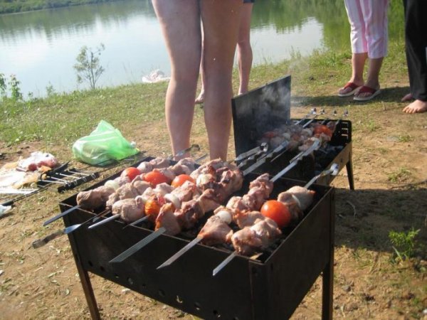 Шашлыки на даче