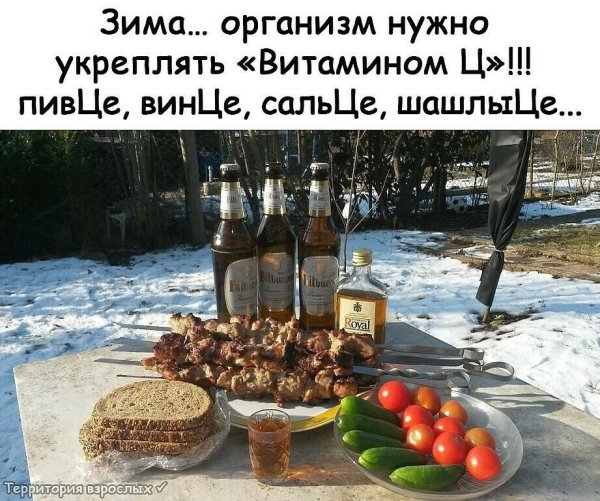 Застолье с шашлыком