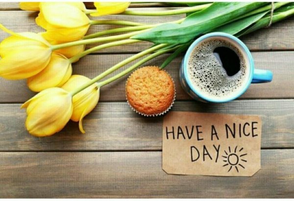 Нежного утра и хорошего дня