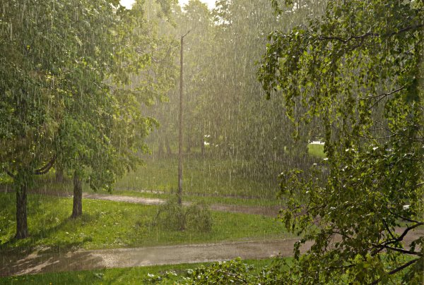 Дождик весной