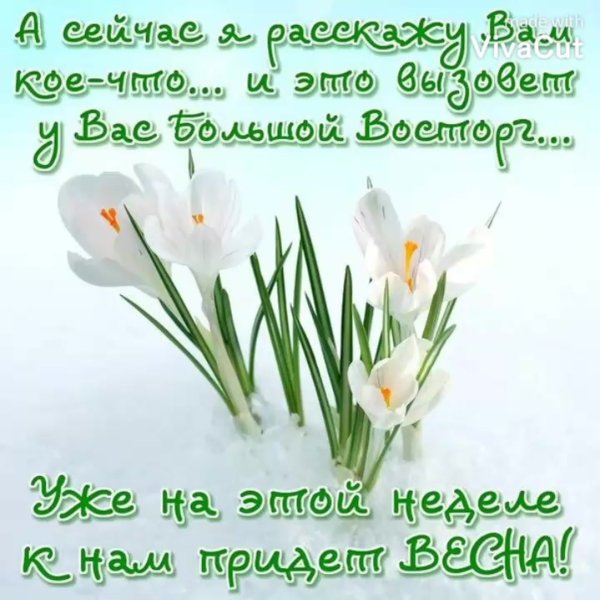 Доброго дня с наступлением весны