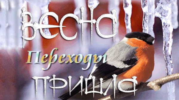 Весна пришла