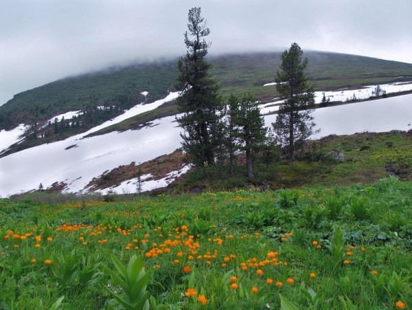 Хакасия природа весной