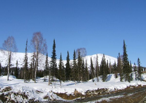 Хакасия природа весной