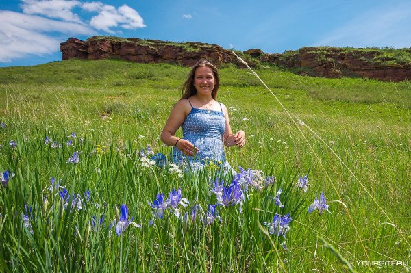Ирисы цветут в Хакасии