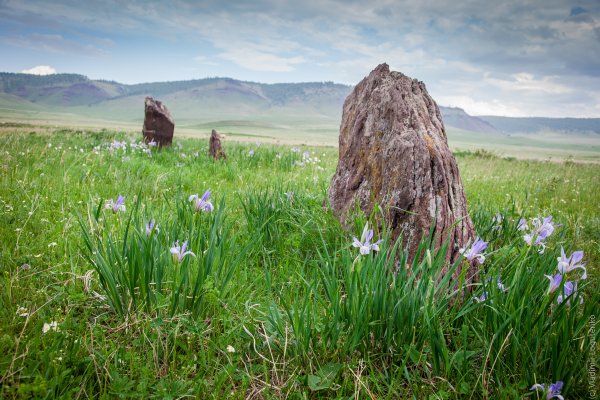 Саяны Красноярский край жарки