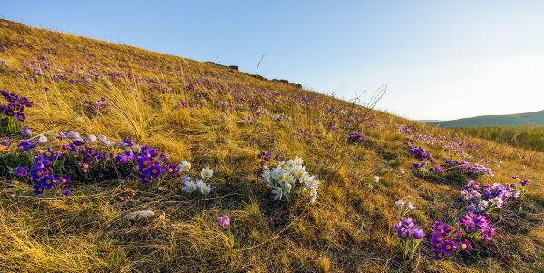 Хакасия весной