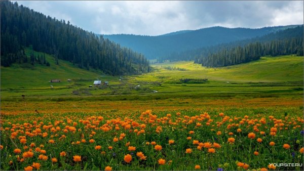 Жарки в Саянах