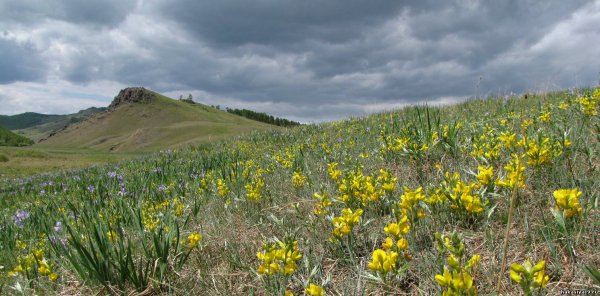 Хакасский заповедник Хакасия