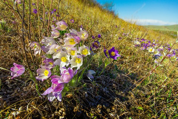 Хакасия в марте