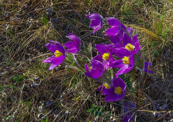 Апрель Хакасия природа