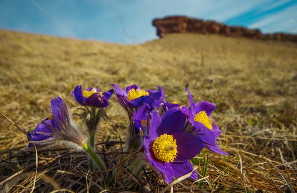 Климат Хакасии