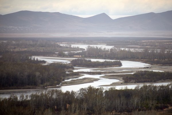 Цветущая степь Хакасии