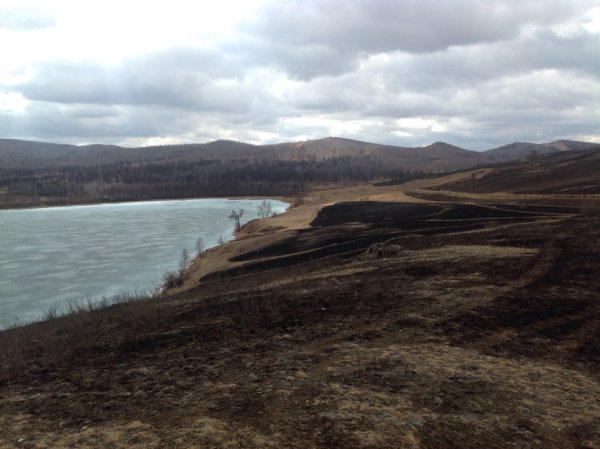 Флора парка Ергаки