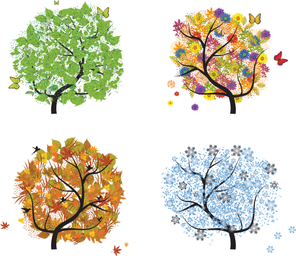 Дерево зимой летом осенью и весной