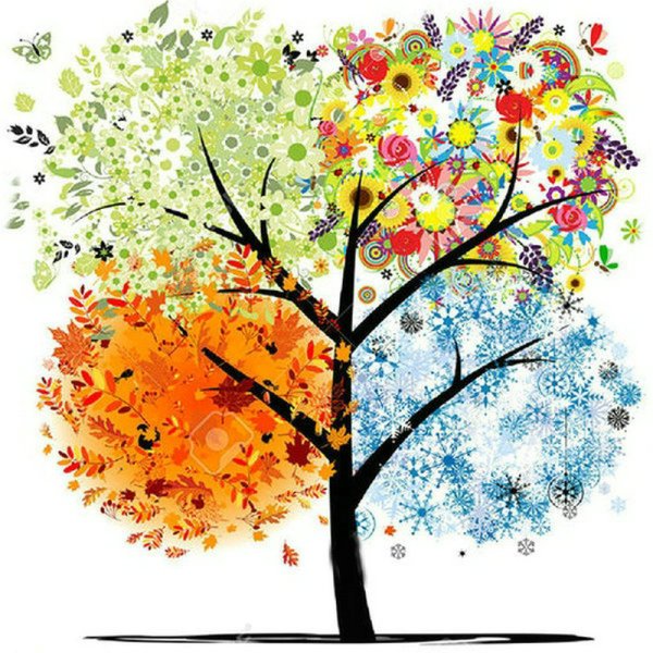 Времена года на дереве