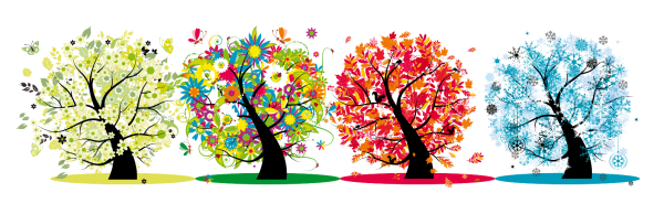 Дерево сезоны года