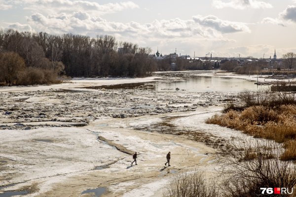 Утро река Волга Ярославль Церковь