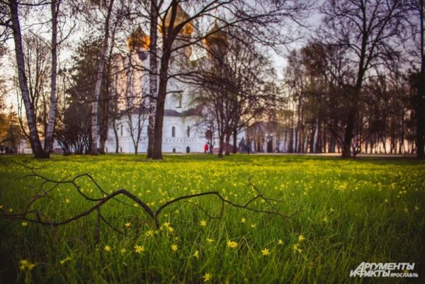 Ярославль весной центр