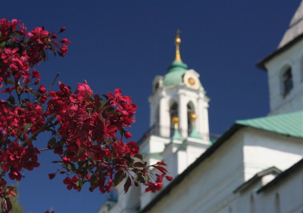 Ярославская область весной