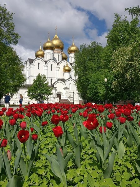 Кострома весной