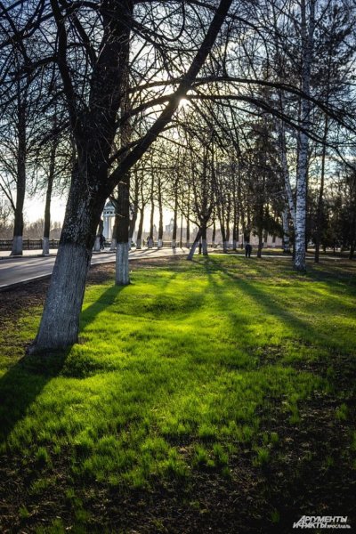 4 Времени года