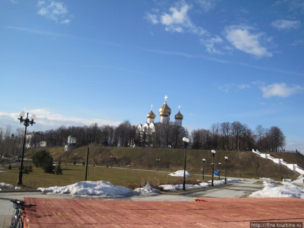 Первоцветы распускаются