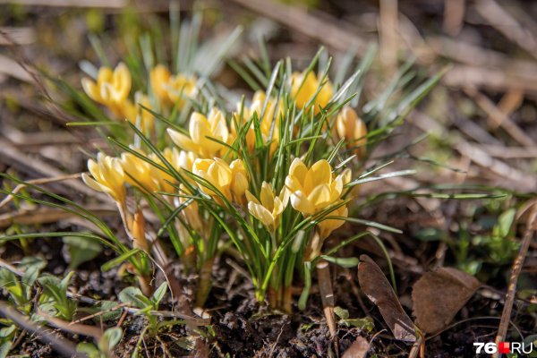 Ярославль в апреле
