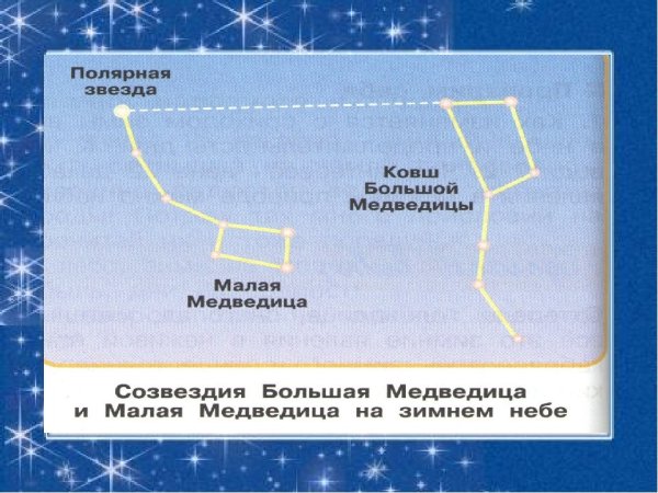 Созвездие большой и малой медведицы зимой