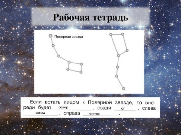 Большая Медведица малая Медведица Кассиопея