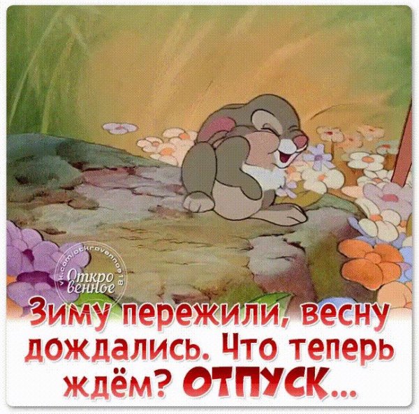 Зиму пережили и весну Перезимуем