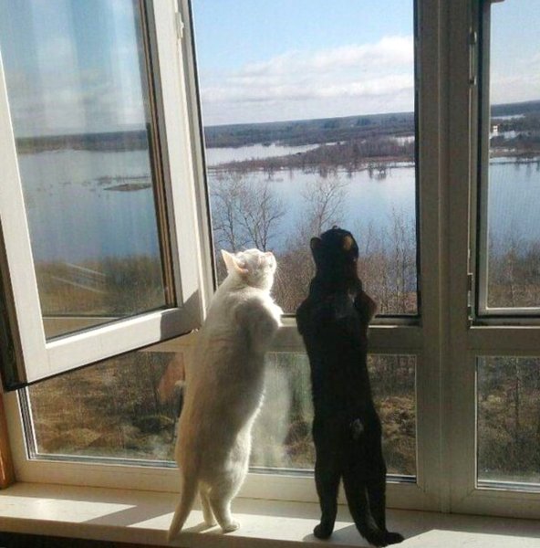 Первый день весны прикол