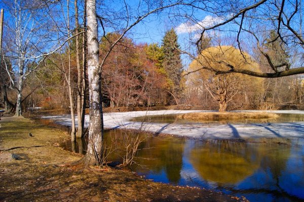Ранняя Весна