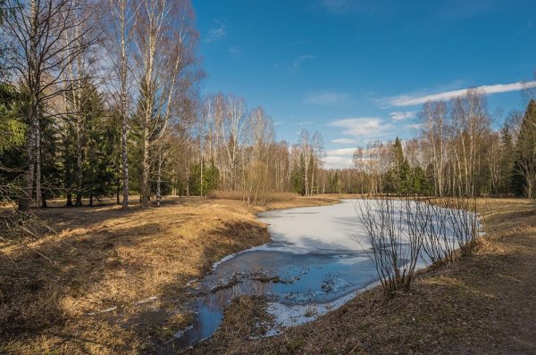 Весна апрель
