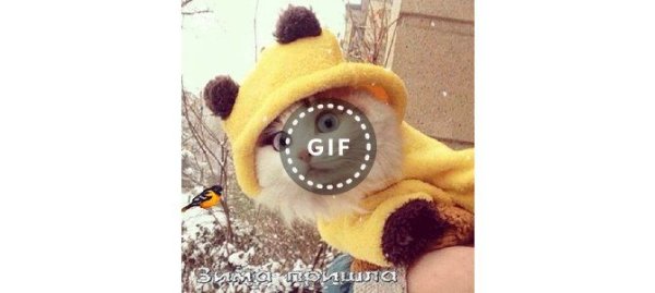 А, что Весна опять свалила открытки