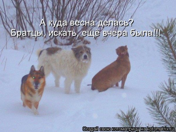 Где Весна потерялась