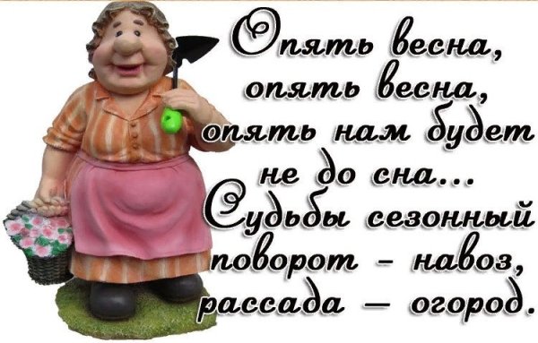 Скоро Весна скоро огород