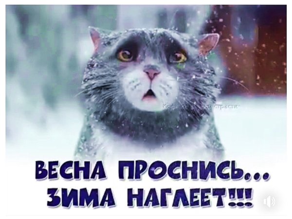 Зима вернулась