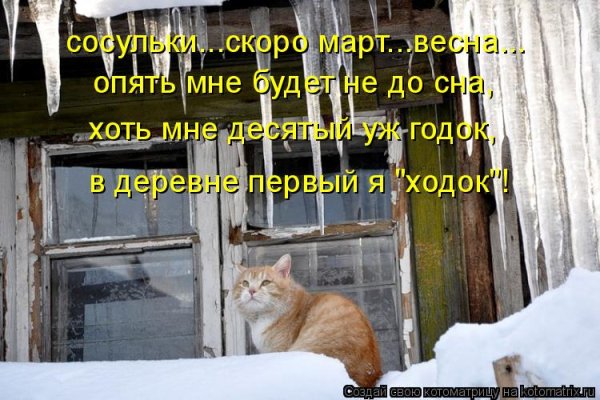 Приколы про зиму и весну