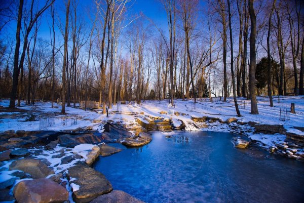 Природа ранней весной