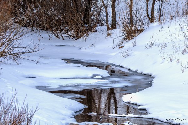 Ранняя Весна пейзаж
