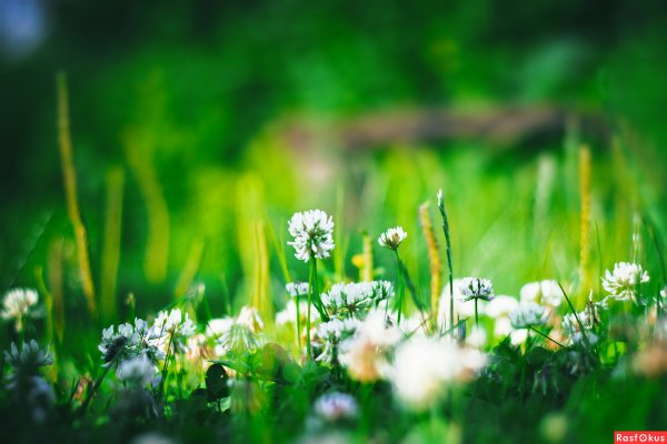 Доброе утречко, Весенняя природа