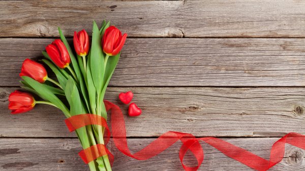 Анимационные тюльпаны