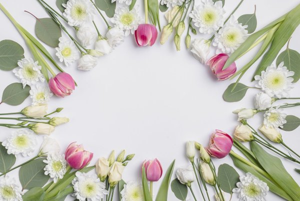 Цветы вербы